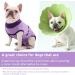 Convinite Recovery Suit for Dogs - Breathable Wound Protection after Castration | Alternative to Cone | Perfect for Male & Female Dogs - Purple - Buy Online on GoSupps.com