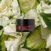 True Botanicals Organic Resurfacing Moisture Mask | Non-Toxic Cruelty-Free | Exfoliates & Moisturizes | Anti-Aging Collagen Booster | 1 fl oz (30 ml) - International Shipping Available - Buy Online on GoSupps.com