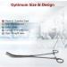 Multipurpose Long Hemostat Forceps with Fully Serrated Jaws Rochester Pean Comes in Stainless Steel for Holding Objects Feeding Reptiles Mechanical Repairs & other Outdoor Activities - 10" CURVED - Buy Online on GoSupps.com