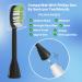 Toothbrush Replacement Heads for Philips One Series Sonicare HY1200/06 - 10 Pack Soft Bristles Black - International Shipping Available - Buy Online on GoSupps.com