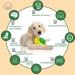Dufuso Dog Toys - Level 2 Intelligence Toys for Large Medium & Small Dogs - Enhance Your Dog's Learning & Playtime - A-Green - Buy Online on GoSupps.com