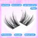 Buy Wispy Lash Clusters - 10-13mm CC Curl Eyelash Extensions | 96 Pcs Natural Look Eyelash Clusters by Pleell - Buy Online on GoSupps.com