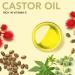 Castor Oil Organic Cold Pressed Unrefined - Castor Oil for Skin & Hair Moisturizer - Organic Castor Oil for Face and Skin Care - Fight Acne and Clean Skin - Moisturizing and Anti-Aging - Buy Online on GoSupps.com