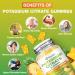 Potassium Citrate 1500mg Gummies - Potassium Supplement for Women & Men Supports Leg Cramp Relief & Muscle Health Vegan Pineapple Flavor (120 Count) 2 Pack - Buy Online on GoSupps.com