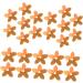 Operitacx DIY Sequins 4 Sets Sequined Floral Beads Decor Apparel Sequins Diy Craft Sequins Accessories Jewelry Clothing - Buy Online on GoSupps.com