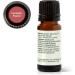 Plant Therapy Fantastic Franks Essential Oil Blend 10 mL (1/3 oz) 100% Pure Undiluted Therapeutic Grade Fantastic Franks 0.34 Fl Oz (Pack of 1) - Buy Online on GoSupps.com