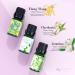 ASAKUKI Floral Essential Oils Set - Jasmine, Ylang Ylang, Rose, Lavender, Cherry Blossom, Gardenia - 10ml Premium Fragrance Oil for Aromatherapy, Hair Care, Candle & Soap Making - Buy Online on GoSupps.com