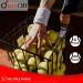 Pack of 6 Tennis Balls Sport Play Dog Toy Ball Great For Lessons Practice Throwing Machines & Playing with Pets 6 Pack - Buy Online on GoSupps.com