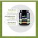 Pure Intra Workout Shake Grapefruit - 800g Powder | Cluster Dextrin EAA & BCAA for Muscle Building | Made in Germany - International Shipping Available - Buy Online on GoSupps.com
