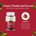 Extra Strength Cranberry Gummies 1000mg - Urinary Tract & Kidney Support for Women and Men - Vegan & Gluten Free - Buy Online on GoSupps.com
