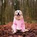 Shop Stylish Christmas Dog & Cat Coats | Warm Fleece Hoodies & Pet Clothing for Winter XL A-Rosa Collection - Buy Online on GoSupps.com