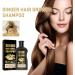 Ginger Hair Growth Shampoo - Anti-Hair Loss, Anti-Dandruff & Anti-Itching Formula for Hair Regrowth - Men & Women - Buy Online on GoSupps.com