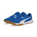 PUMA Unisex Solarflash Ii Indoor Court Shoe 44.5 EU Puma Royal Puma White Gum