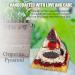 Crystal Garnet Zodiac Cancer Orgone Pyramid for Healing & Meditation - Buy Online on GoSupps.com