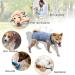 Hipet Recovery Suit for Dogs & Cats | XXL Blue Striped | Prevents Licking & Protects Surgical Wounds | E-Collar Alternative - Buy Online on GoSupps.com