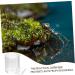 Toddmomy Pet Water Feeder Ant Water Drinking Cup Ant Watering Cup Ants Waterer Ant Feed Bowl to Feed Animal - Buy Online on GoSupps.com