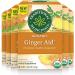 Traditional Medicinals - Organic Ginger Aid Herbal Tea (Pack of 6) - Help Relieve Digestive Upset Indigestion and Nausea - 96 Tea Bags Total Ginger Aid 16 Count (Pack of 6)