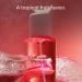 PHLUR Dragon Fruit Body Mist - Hair & Body Mist for Women & Men Fragrance - Dragon Fruit Peony Sandalwood & Vanilla Body Spray (8 Fl Oz) - Buy Online on GoSupps.com