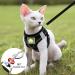Cat Collars Harnesses and Lead Set Kitten Walking Escape Proof Adjustable Lead Vest Set For Ferret Puppy Rabbit Kitten Lead and Harness Set with Reflective Strip Breathable Soft Mesh Cat Jacket(S) - Buy Online on GoSupps.com
