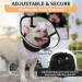 Kuoser Dog Protective Collar - Adjustable Comfy Cone for Post-Surgery Leak Protection Breathable Elisabethane - Ideal for Dogs & Cats - Black Medium - Buy Online on GoSupps.com