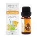 Essences Bulgaria Bio Immortelle Essential Oil 10ml |Helichrysum Italicum |100% natural clean |Undiluted |Bio-certified |Top quality from family business |Without genetic engineering |Vegan Immortelle 10 ml (1 Pack)
