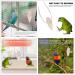 6 Pieces Bird Cuttlebone Toys Parrot Chew Calcium Toy Chewing Cuttlefish Bone with Metal Holder Bird Pet Molar Toy for Parrots Cage Birds Reptiles Tortoises Snails - Buy Online on GoSupps.com