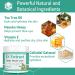 Tea Tree Oil Balm - 100% Natural Drawing Salve Cream for Eczema Psoriasis Itchy Skin Relief - 2 Fl Oz (Pack of 6 - Buy Online on GoSupps.com