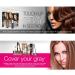 Cover Your Gray 2-in-1 Touch-Up Wand in Light Brown/Blonde - Conceal Gray Hair Effortlessly - Buy Online on GoSupps.com
