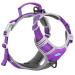 Thinkpet Anti Zug Dog harness dog harness with handle easy to control dog harness adjustable without choking dog dishes reflective breathable upholstered (m purple) purple m (1 Pack)
