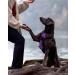 Joytale Reflective Dog Harness for Medium Dogs - Soft Padded Adjustable & Breathable with Control Handle - Purple (1 Pack) - Buy Online on GoSupps.com