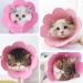 2 Piece Adjustable Cat Collar & Neck Rope - Post-Surgery Recovery Cone for Puppies & Small Dogs (Pink L) | A-Rosa International Shipping - Buy Online on GoSupps.com