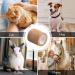 12 Rolls Elastic Cohesive Bandages 5 cm x 4.5 m Breathable Self Adhesive Bandage Non Woven Wrap Tape for Sports Knee Wrists Ankle Sprains Animal Pet Vet (Skin Color) - Buy Online on GoSupps.com