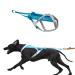 Non-stop dogwear FREEMOTION Harness 5.0 |111| Blue/Grey | Dog harness for all sports size:8 gray/blue 8