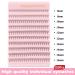 Poiuyoiu Eyelash Extensions - 200 Pcs 10D Fake Lashes Mix 8-16mm | DIY Cluster & Individual Eyelashes for Stunning Looks - Buy Online on GoSupps.com