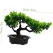 Zerodeko Artificial Pine Potted Plant Mini Fake Potted Plant Office - Buy Online on GoSupps.com