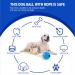 Ball On Rope Dog Toy Heavy Duty Pet Chew Rope Pimpled Ball Interactive Dog Pull & Tug Toy Studded Ball Tugger For All Dog Puppy Essentials Pet Accessories 40cm X 6.5cm Assorted Colours (Pack Of 1) - Buy Online on GoSupps.com