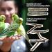 5-Piece Natural Twig Parrot Toys Set for Small to Medium Birds - Ideal for Macaws, Budgies, Lovebirds, Finches - Perching Wood Sticks - Buy Online on GoSupps.com