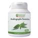 Andrographis Paniculata 450mg x 90 Capsules