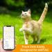 Lafayi 2 Pack Airtag Cat Collar with Bell | Reflective GPS Tracker Case | Personalized Safety Clasp Collars for Cats - Orange - Buy Online on GoSupps.com