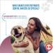 Revive Active - Enzymatic Dental Wafers for Medium-Large Dogs 14ct Prevents Plaque and Tartar Antiseptic Reduces Bacteria Improves Hygiene Oral of your Dog. - Buy Online on GoSupps.com