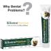 Herbodent Premium Toothpaste - 5.82 Oz Pack of 1 | 21 Herbs for Strong Teeth & Healthy Gums- Neem Clove Cinnamon Cardamom with Natural Mouthwash-No Paraben No Fluoride No Saccharin No Triclosan - Buy Online on GoSupps.com