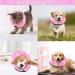 FWLWTWSS Inflatable Hinge & Sore Throat Cat Collar | Adjustable Dog Protective Collar | Leak Protection for Recovery | Fits 25-36cm | Comfort for Pets - Buy Online on GoSupps.com