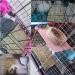 15PCS Grass Mat for Rabbit, Guinea Pig, Chinchilla, Squirrel, Hamster, Cat, Dog & Small Animals - Buy Online on GoSupps.com