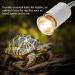 Fdit Gecko Heat Light Heat Lamp Heat Light Bulb Heat Emitter Heating Light Lamp for Small Pet Reptile Lizard Turtle Amphibian 220-240V (25W) - Buy Online on GoSupps.com