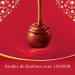 Lindt - Cornet LINDOR - Milk Chocolate - Ideal for Easter 200g - Buy Online on GoSupps.com