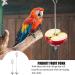 Stainless Steel Parrot Fruit Holder - 2 Pack Vegetable & Fruit Tools for Bird Cages - Buy Online on GoSupps.com
