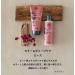 Urtekram Wild Rose Conditioner - Color Preservation Vegan & Organic 180 ml | Natural Hair Care - Buy Online on GoSupps.com
