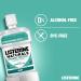 LISTERINE Naturals Enamel Protect Mouthwash 600ml - Dye-Free Formula for Stronger Teeth (Pack of 1) - Buy Online on GoSupps.com