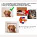 Assistance Dog UK Law Card AD7 with Lanyard and Card Holder - Buy Online on GoSupps.com