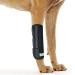RockPet Dog Front Leg Joint Brace, Therapeutic Hip Bandage for Canines (L/XL)